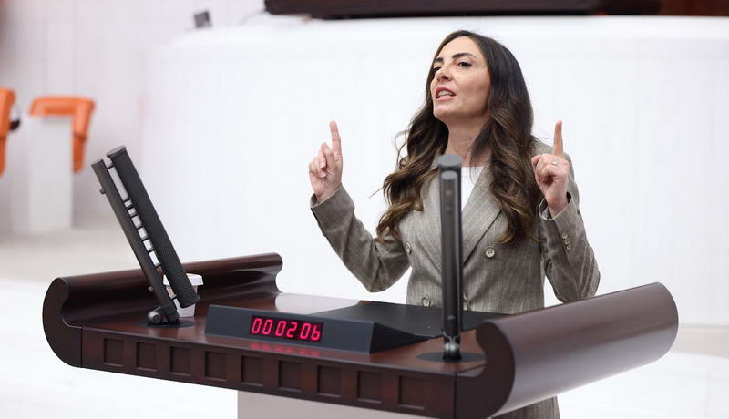 Cumhuriyet Halk Partisi Yurt Dışı Örgütlenmeden Sorumlu Genel Başkan Yardımcısı