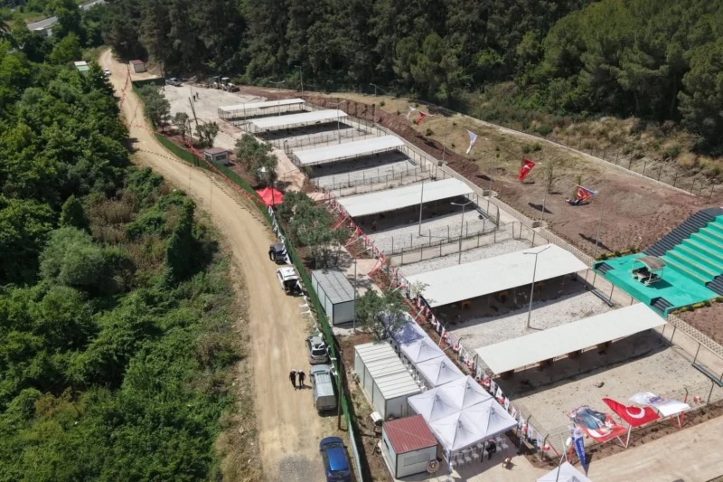 Kurtul Mahallesi’nde, yeşillikler içinde 16 dönümlük geniş bir arazi üzerine