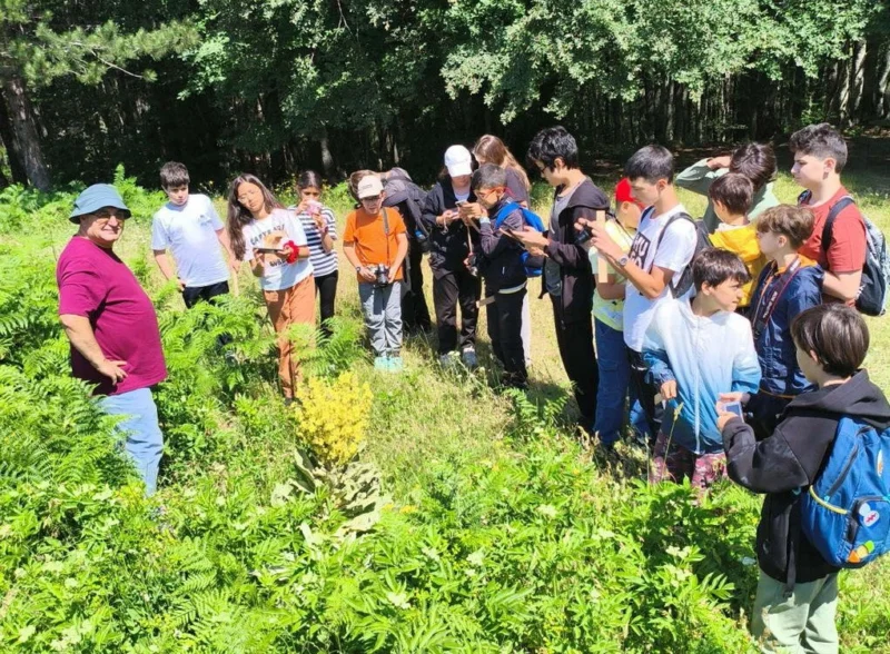Bursa Büyükşehir Belediyesi’nin düzenlediği programla Uludağ’ın eşsiz doğasını yakından inceleme