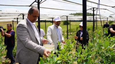 İznik’in verimli tarım arazileri ve ürün çeşitliliğiyle önemli bir üretim