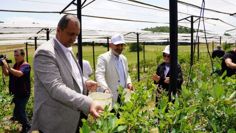İznik’in verimli tarım arazileri ve ürün çeşitliliğiyle önemli bir üretim