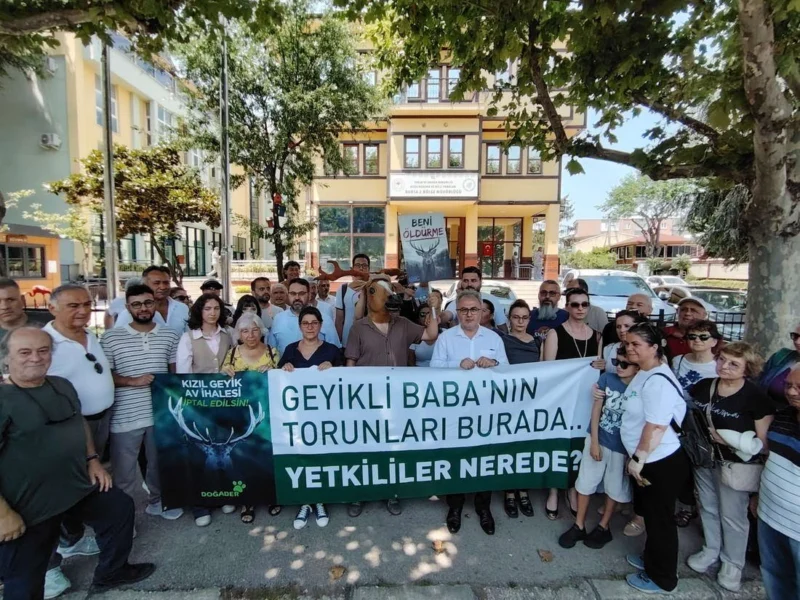 Kızıl geyiklerin ava açılmasına yönelik ihale süreci başlatılması sebebiyle, meslek ve
