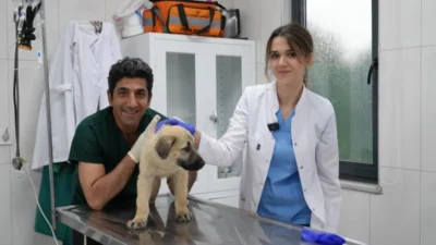 İnternette ve sosyal medyada yaptığı paylaşımlarda vatandaşlar tarafından olduk&ccedil;a sıkı