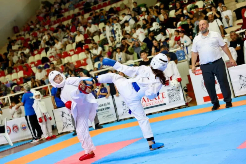 Gemlik Karate Turnuvası, iki gün süren müsabakaların ardından büyük bir