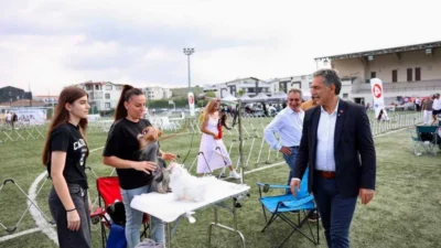 Gemlik Belediyesi ve Köpek Irkları ve Kinoloji Federasyonu (KIF) iş