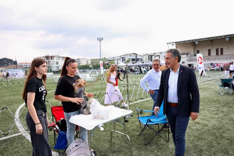Gemlik Belediyesi ve Köpek Irkları ve Kinoloji Federasyonu (KIF) iş
