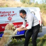“Sahiplen Kestel” Platformuyla Yuva Olmak Çok Kolay