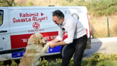 Kestel Belediyesi tarafından hayata geçirilen dijital sahiplendirme platformu, can dostlarını
