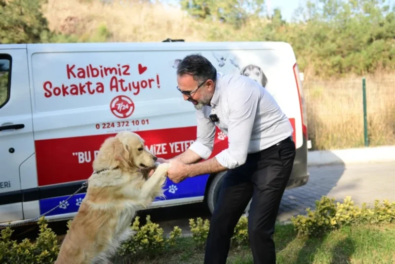 Kestel Belediyesi tarafından hayata geçirilen dijital sahiplendirme platformu, can dostlarını