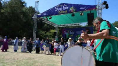 Bursa’nın dünyaca ünlü siyah incirinin tanıtıldığı Osmangazi Siyah İncir Festivali'nde