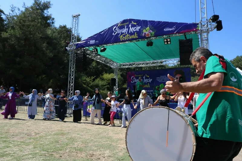 Bursa’nın dünyaca ünlü siyah incirinin tanıtıldığı Osmangazi Siyah İncir Festivali'nde