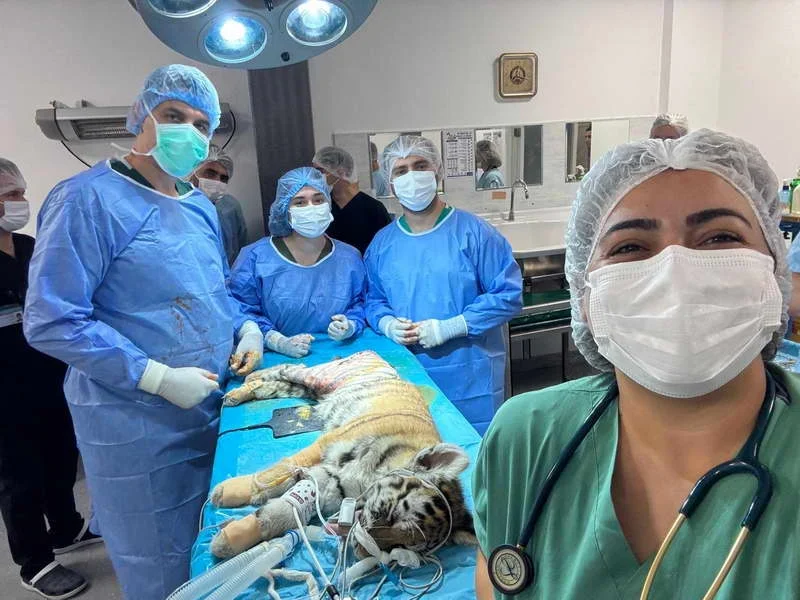 Bursa Uludağ Üniversitesi (BUÜ) Veteriner Fakültesi Hastanesi, bu kez çok