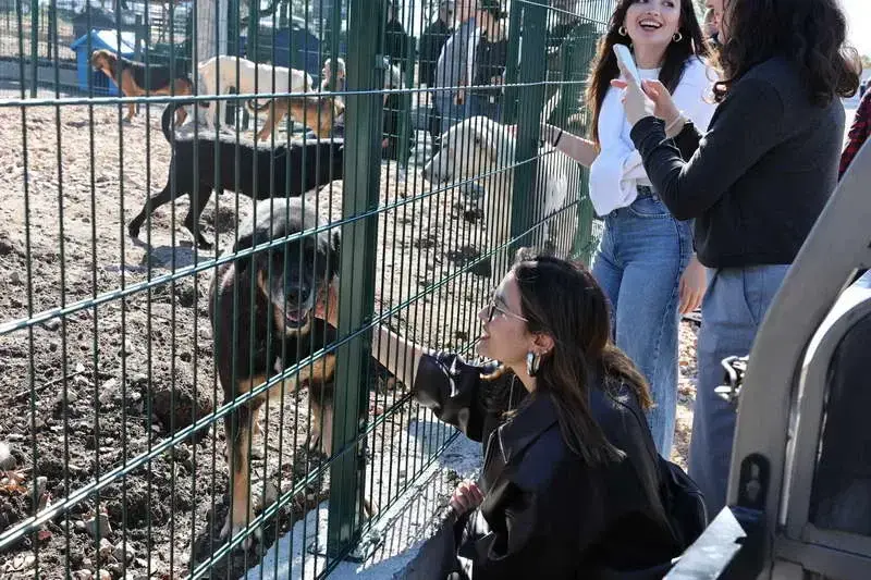 Nilüfer Belediyesi, sokak hayvanlarına doğal ve güvenli bir ortam sunmak