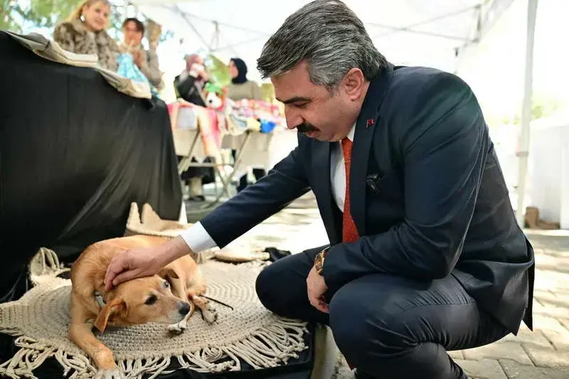 Yıldırım Belediyesi, 4 Ekim Dünya Hayvanları Koruma Günü kapsamında hayvan
